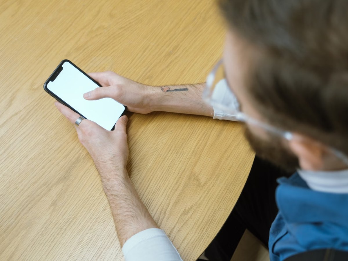 Acesso digital aos serviços do INSS pela conta gov.br